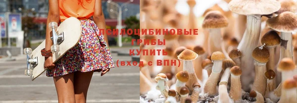 крисы Михайлов