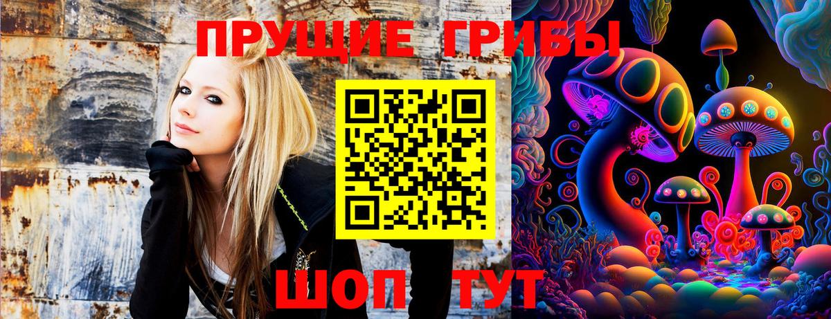 Псилоцибиновые грибы мицелий Карпинск