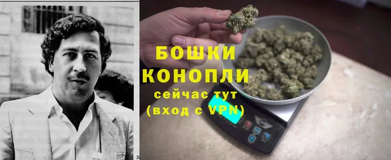 Бошки Шишки OG Kush  купить наркотик  Карпинск 